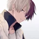 Shoto Todoroki