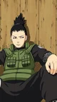 Shikamaru Nara