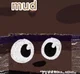 Mud