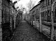 Auschwitz 