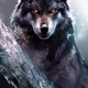Jorn The Wolf