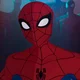 Spectacular Spider