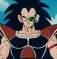 Raditz