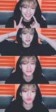 Bang Chan