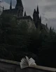 Slytherin 