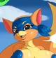Swiper Foxette