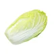 Chinese cabbage 