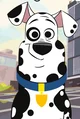 Doug Dalmatian