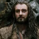 Thorin Oakenshield 