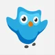 Blue Duolingo