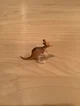Kangaroo