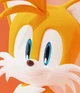 Tails The Fox