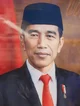 Pak Jokowi Dodo
