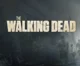 The Walking Dead Rp