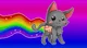 Nyan cat