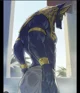Anubis