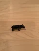 Hippopotamus