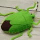 Green Bug
