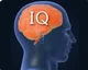 IQ test