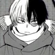Shoto Todoroki