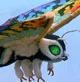 Mothra Leo