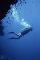 Scuba diver