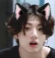 Catboy Kook