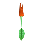 The pikmas carrot