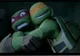 Raph and Mikey
