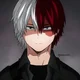 Shoto Todoroki