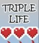 Triple Life SMP