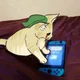 BEN drowned