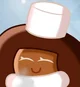 ABDL Cocoa Cookie