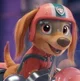 Liberty- Paw Patrol