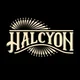 Halcyon Corporation 