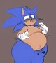 Sonic gordito