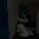Furry in the corner