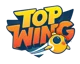 Top Wing