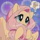 Fluttertube HD