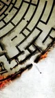 The maze runner