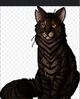 Tigerstar