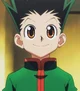 Gon Freecss
