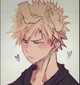 Soft Bakugo