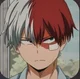 Shoto Todoroki