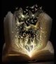 ARCaNE