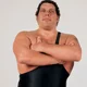 André The Giant