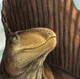 Dimetrodon