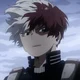 Shoto Todoroki