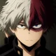 Todoroki Shoto