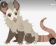 045- Opossum